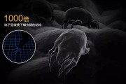 螨虫高发季，家用除湿机除螨有妙计！