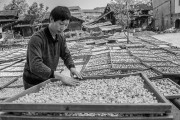 茯苓干燥易碎裂吸湿怎么办？茯苓烘干机助力企业规?；?