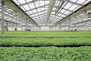 除湿器如何解决高湿度、多种危害的温室除湿问题？